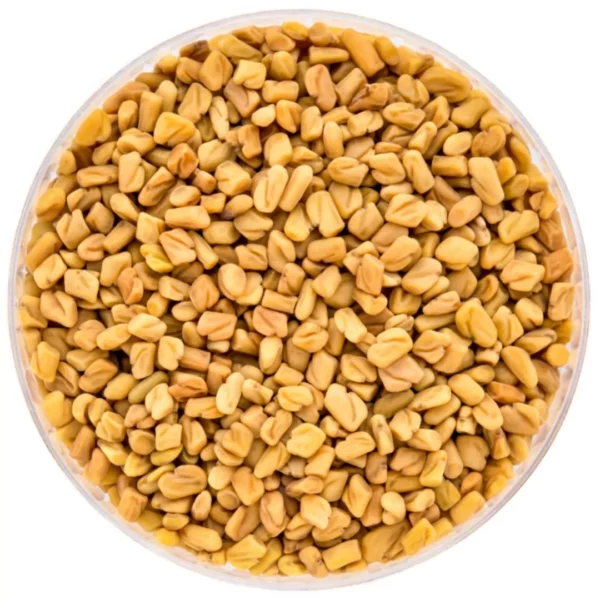 Fenugreek Seed Exporter in India