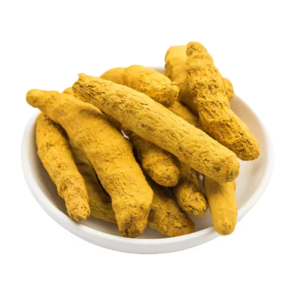 Turmeric Exporter in India